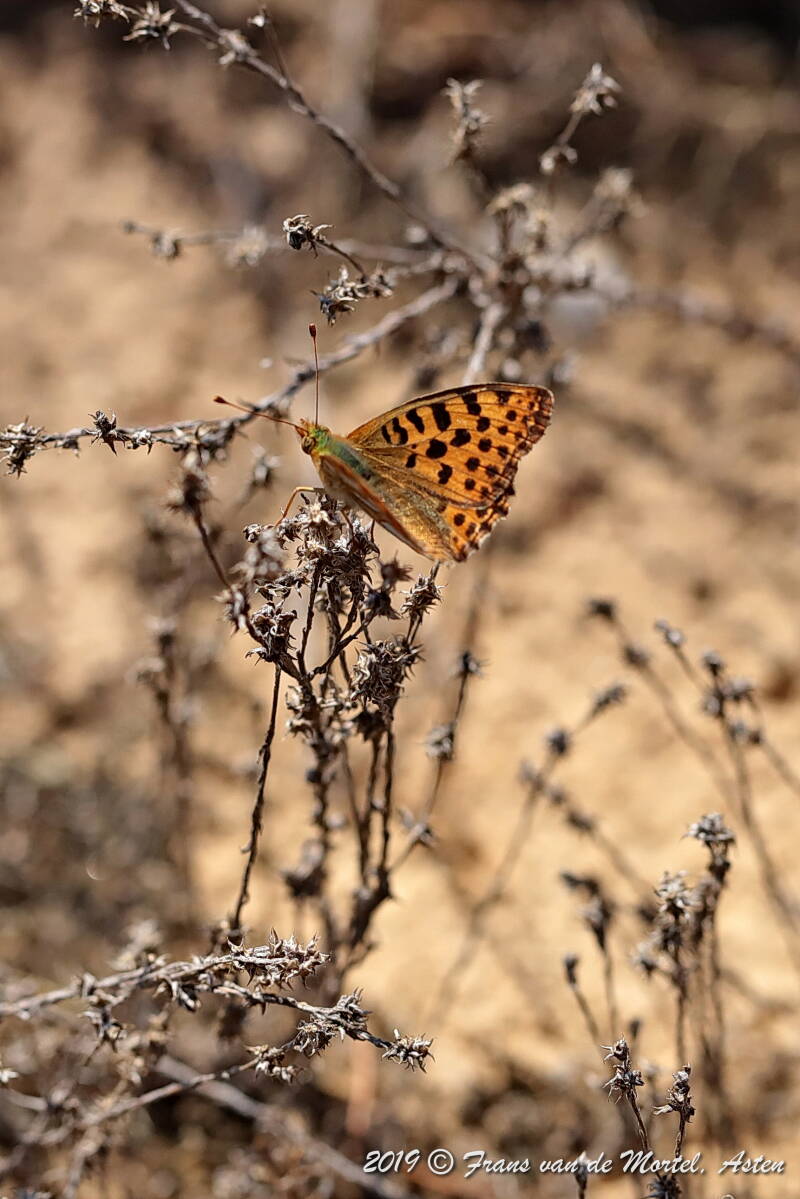 Nederweert, NL, 2019