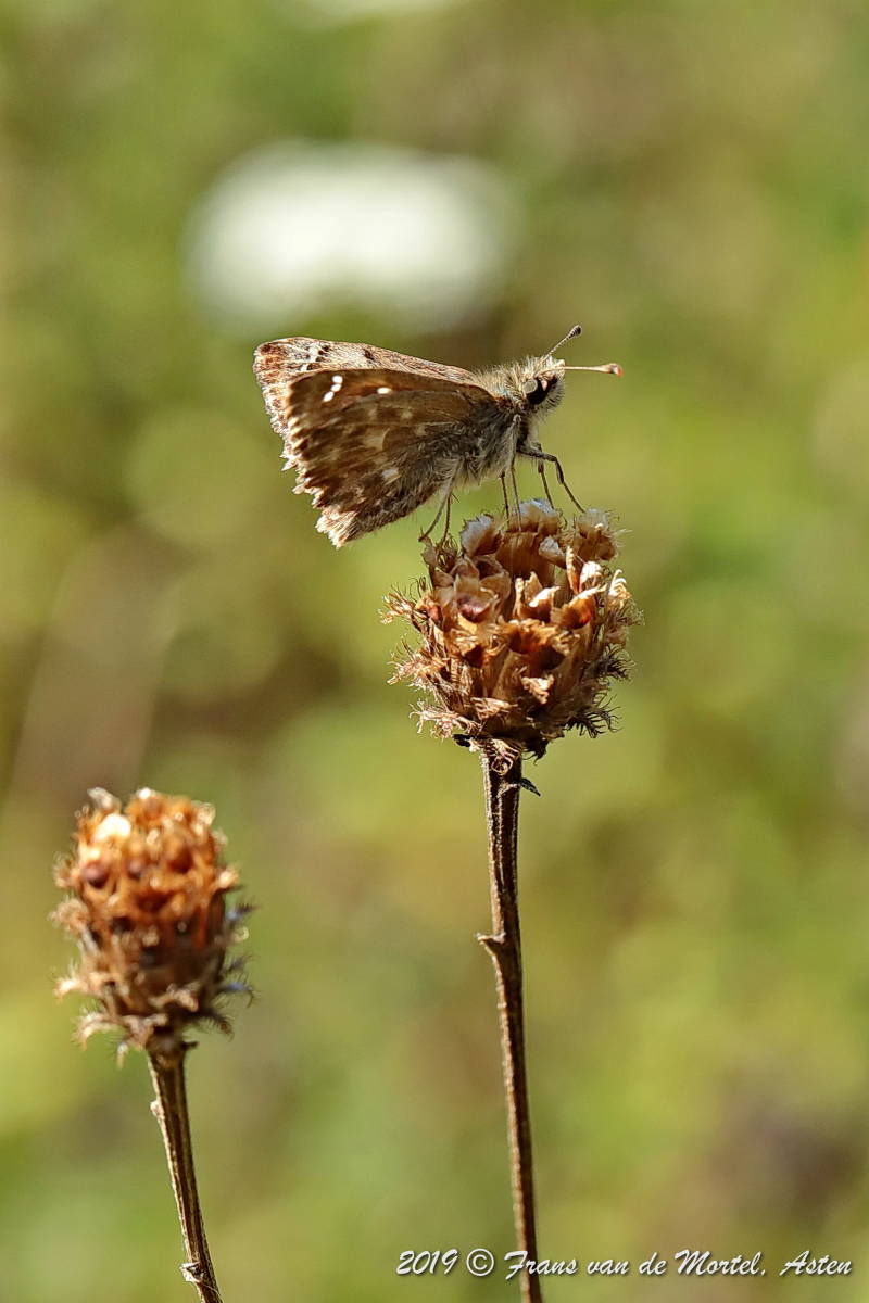 Maastricht, NL, 2019