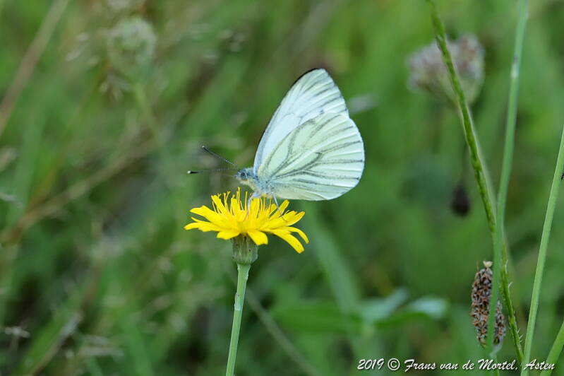 Maastricht, NL, 2019