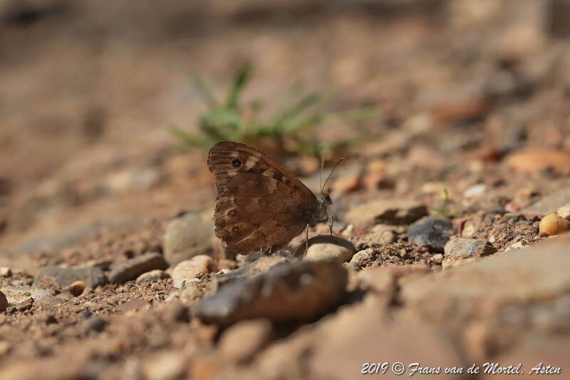 Maastricht, NL, 2019