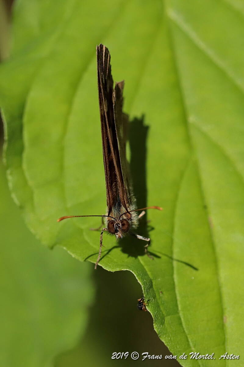 Maastricht, NL, 2019