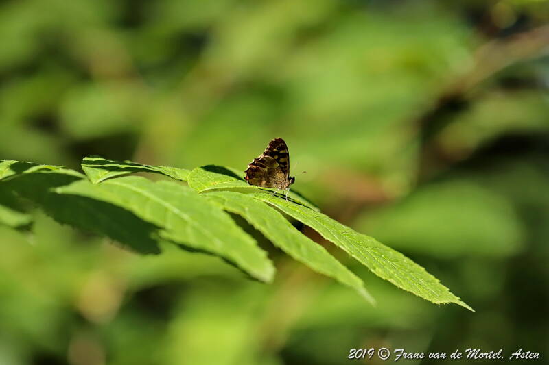 Maastricht, NL, 2019