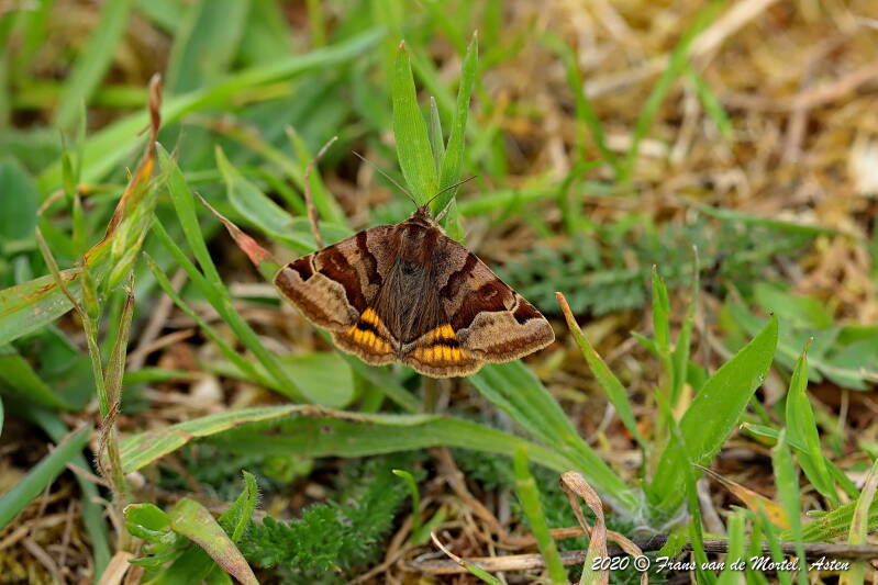 Maastricht, NL, 2020