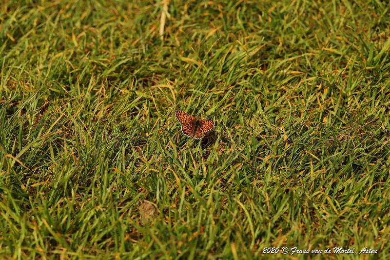 Maastricht, NL, 2020