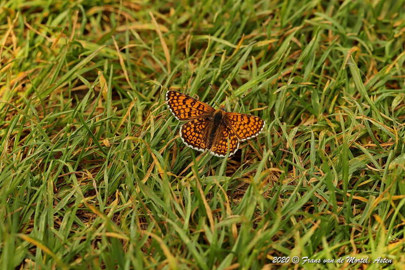 Maastricht, NL, 2020