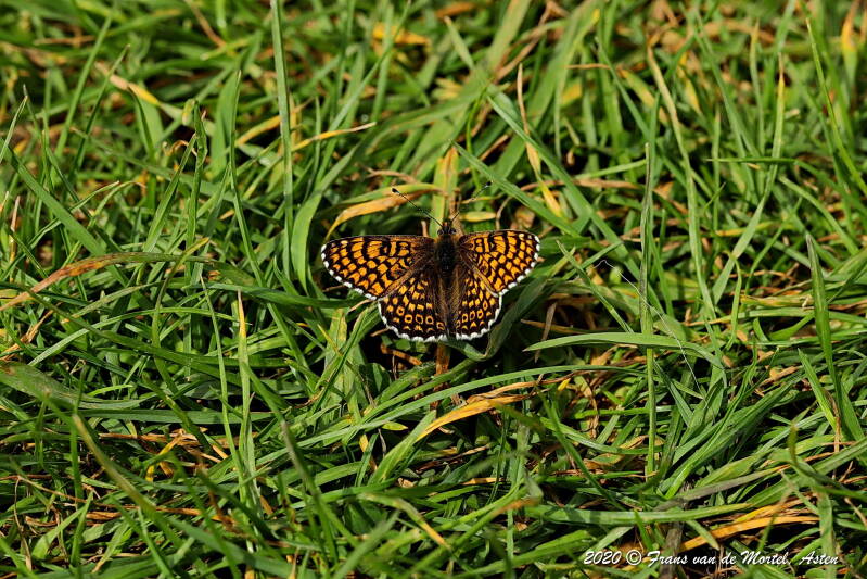 Maastricht, NL, 2020