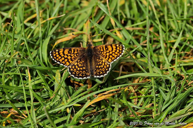 Maastricht, NL, 2020