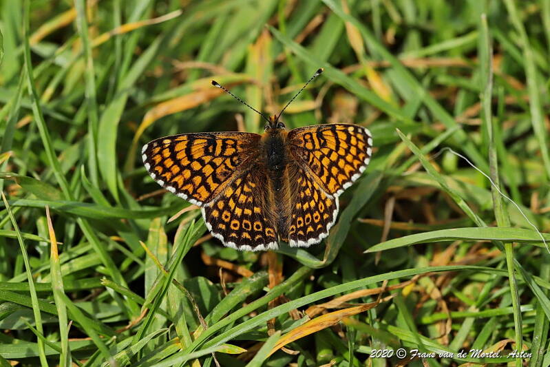 Maastricht, NL, 2020