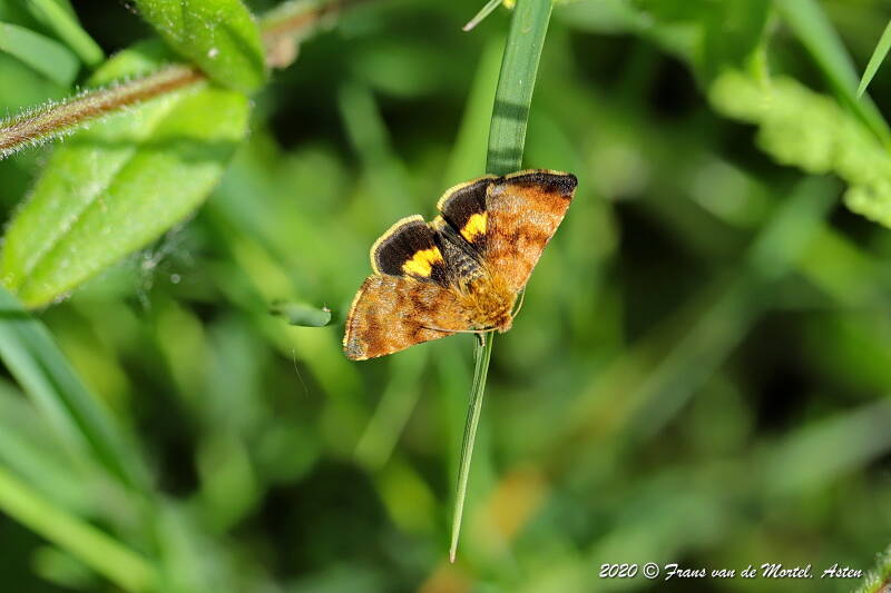 Nederweert, NL, 2020