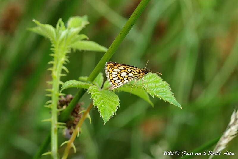 Nederweert, NL, 2020