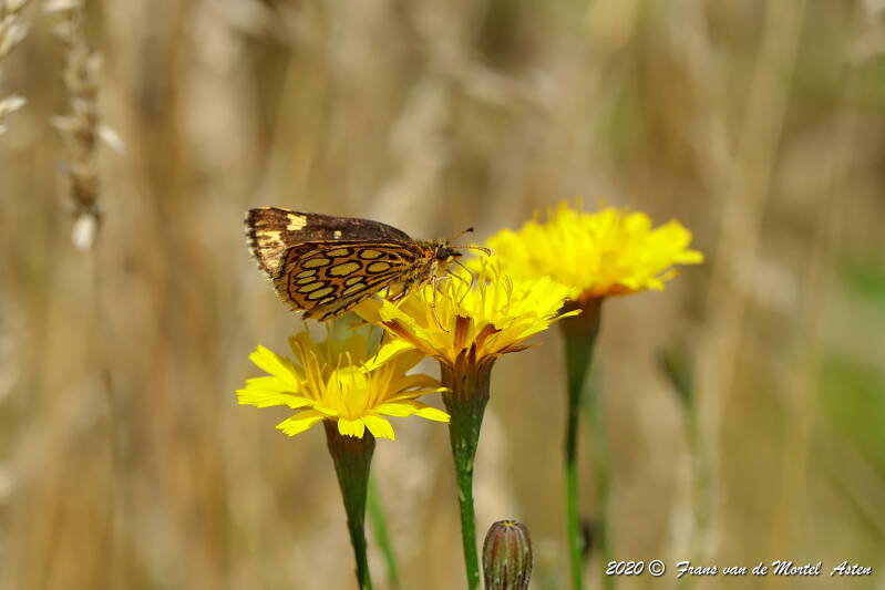Nederweert, NL, 2020