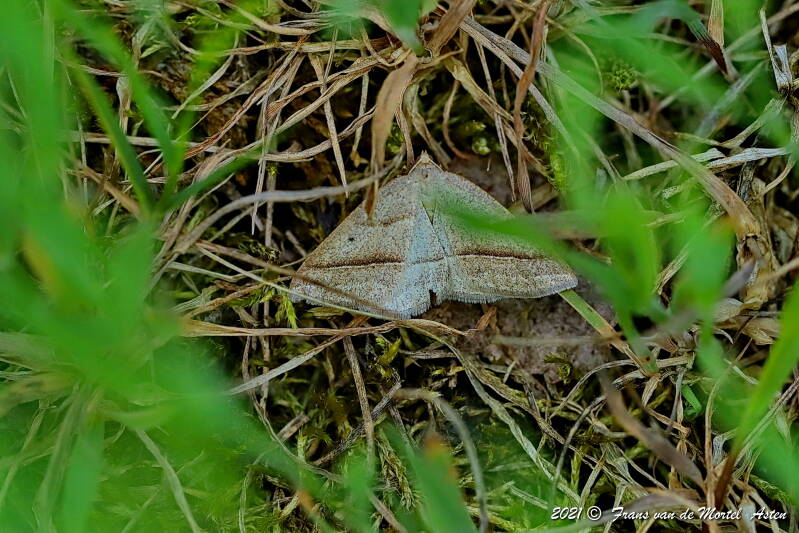 Nederweert, NL, 2021