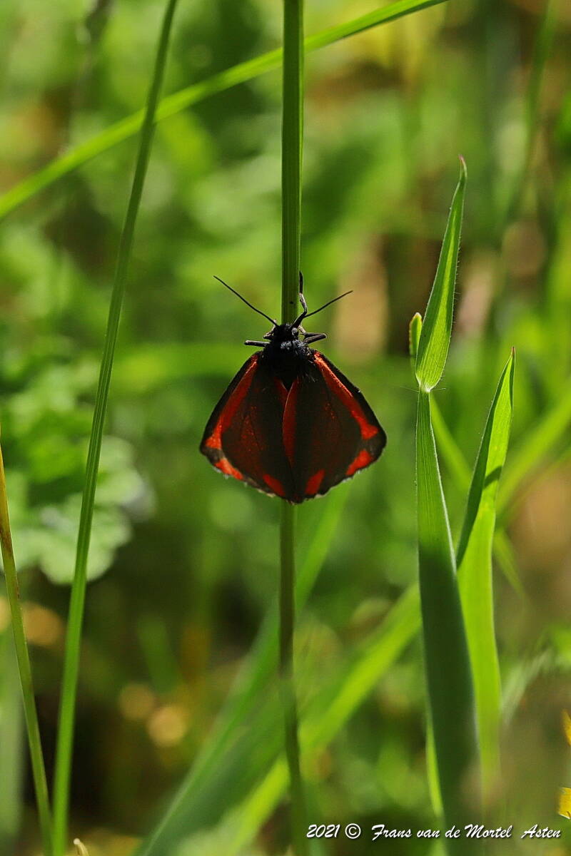 Nederweert, NL, 2021