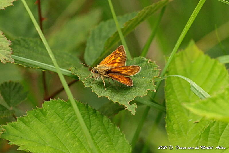 Grubbenvorst, NL, 2021