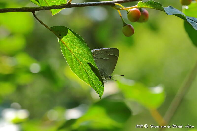 Nederweert, NL, 2021