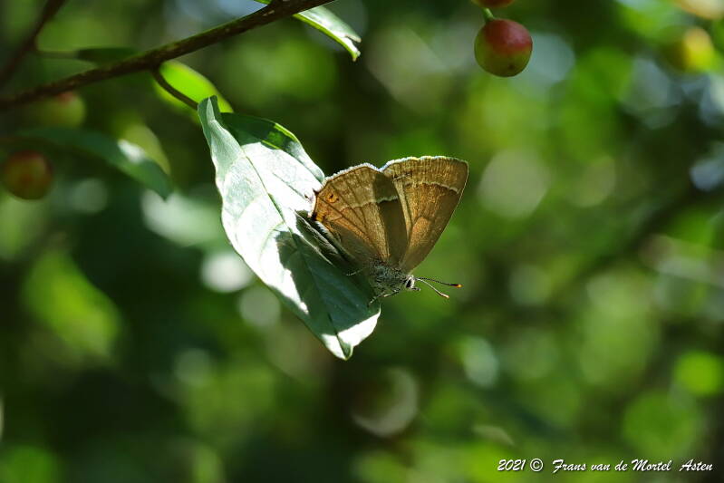 Nederweert, NL, 2021