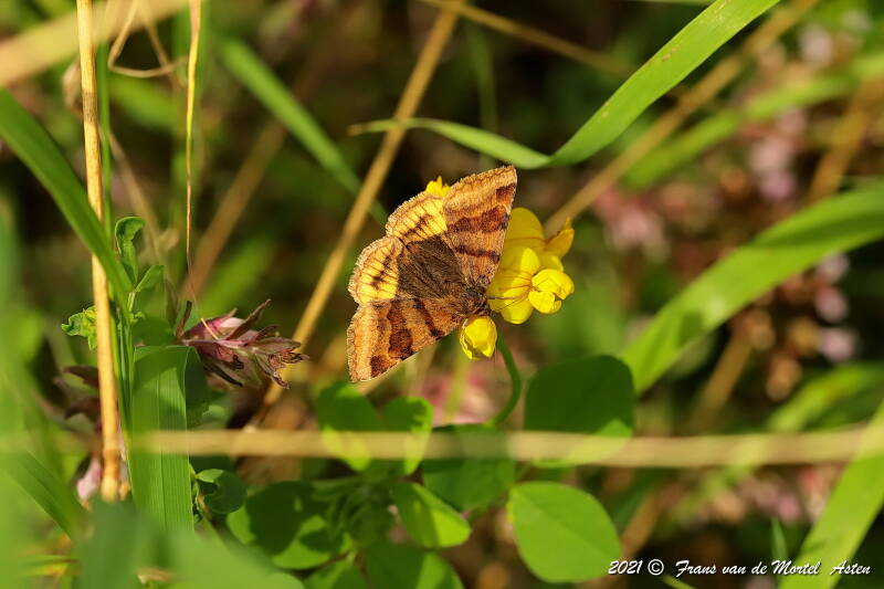 Maastricht, NL, 2021