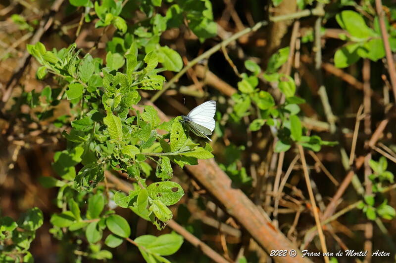 Nederweert, NL, 2022