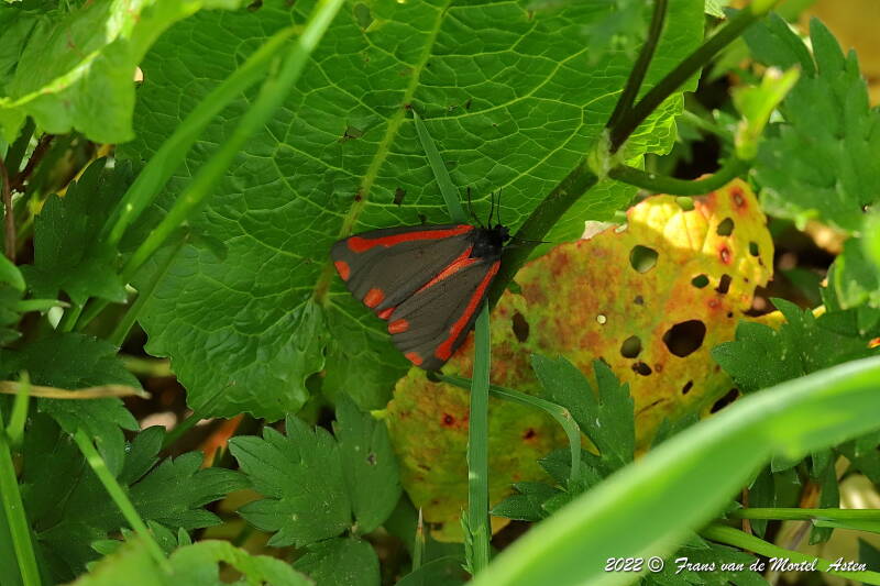 Nederweert, NL, 2022