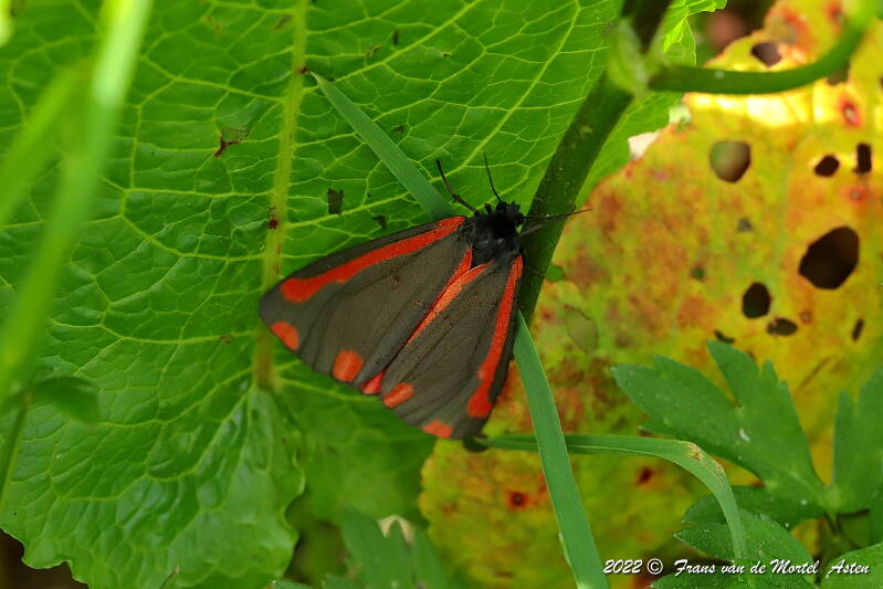 Nederweert, NL, 2022