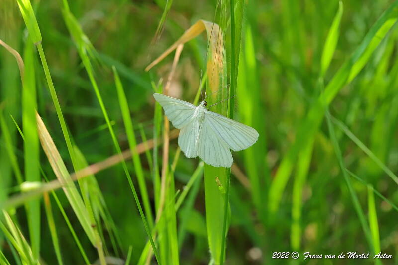 Maastricht, NL, 2022