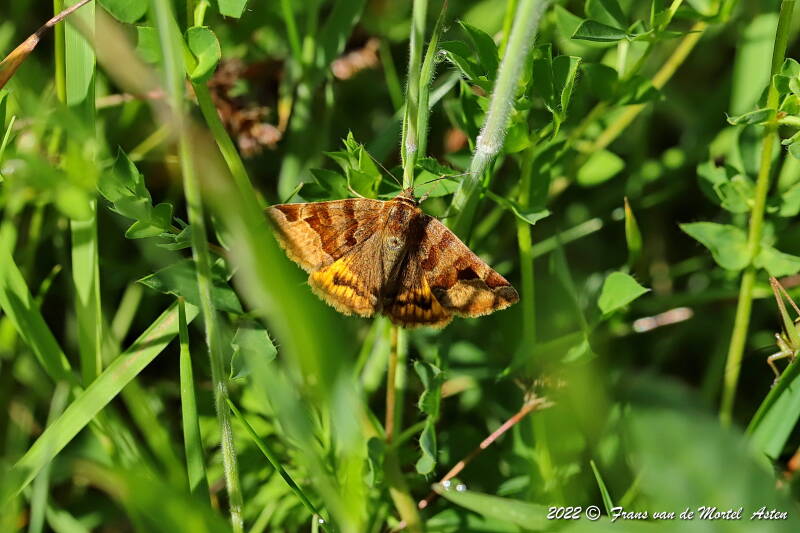 Maastricht, NL, 2022