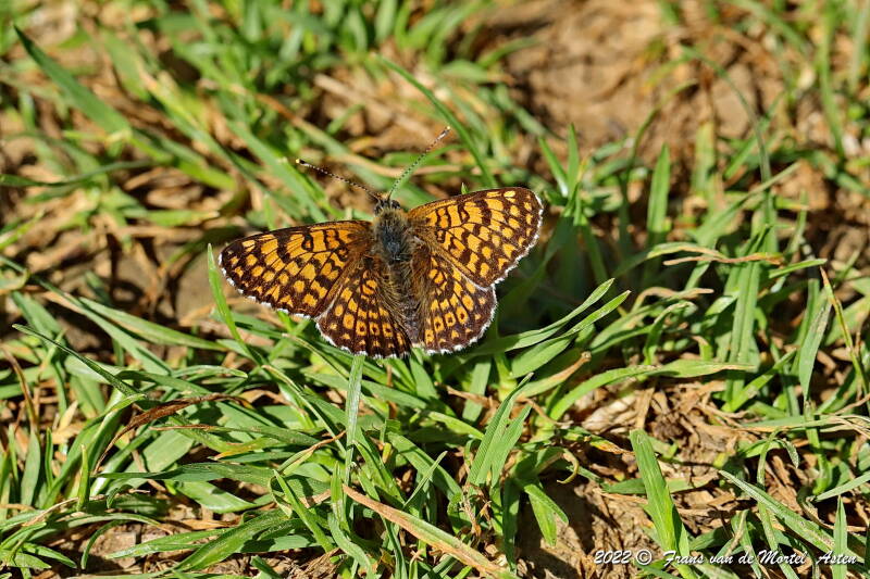 Maastricht, NL, 2022