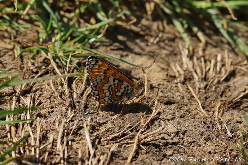 Maastricht, NL, 2022