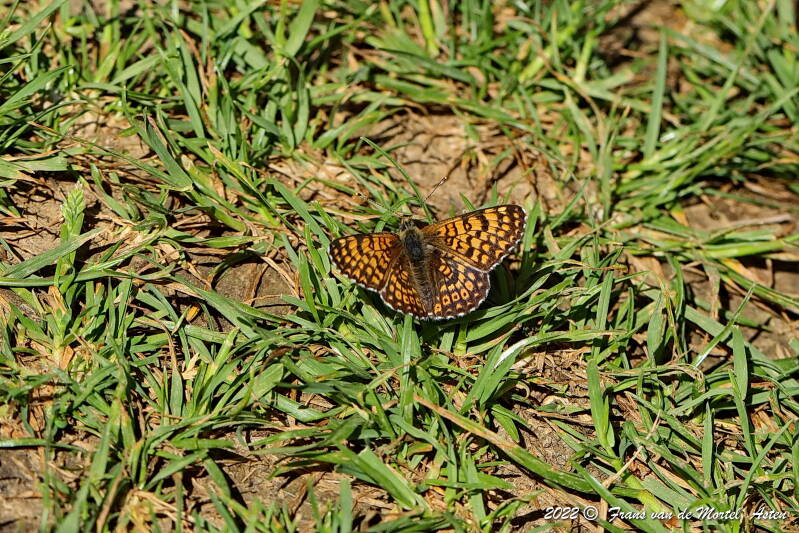 Maastricht, NL, 2022