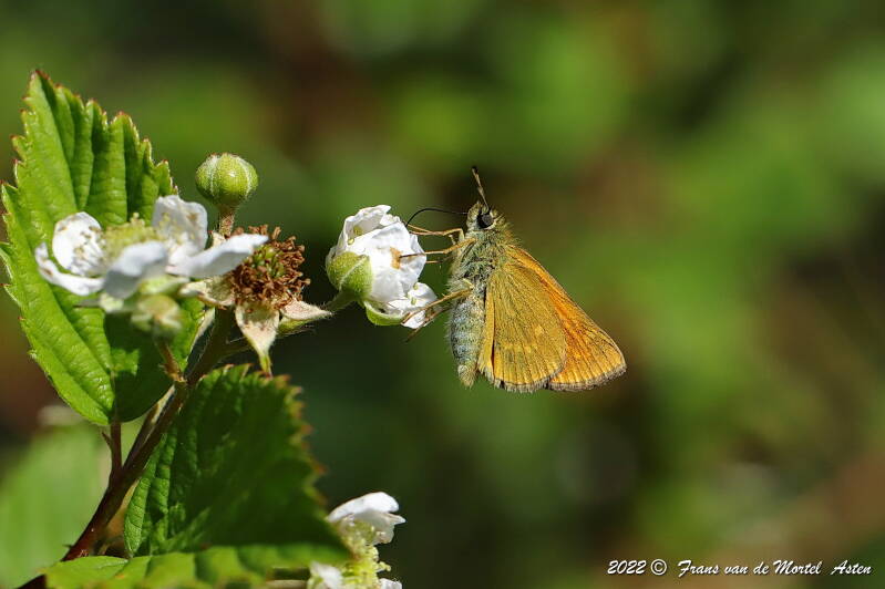 Nederweert, NL, 2022