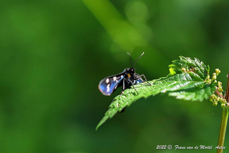 Nederweert, NL, 2022