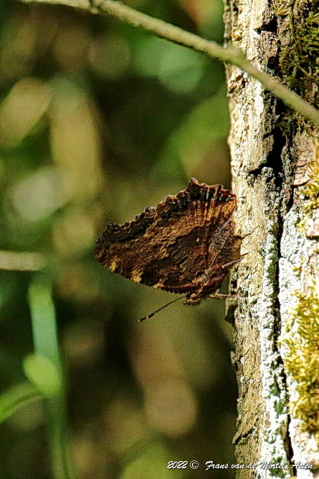 Nederweert, NL, 2022