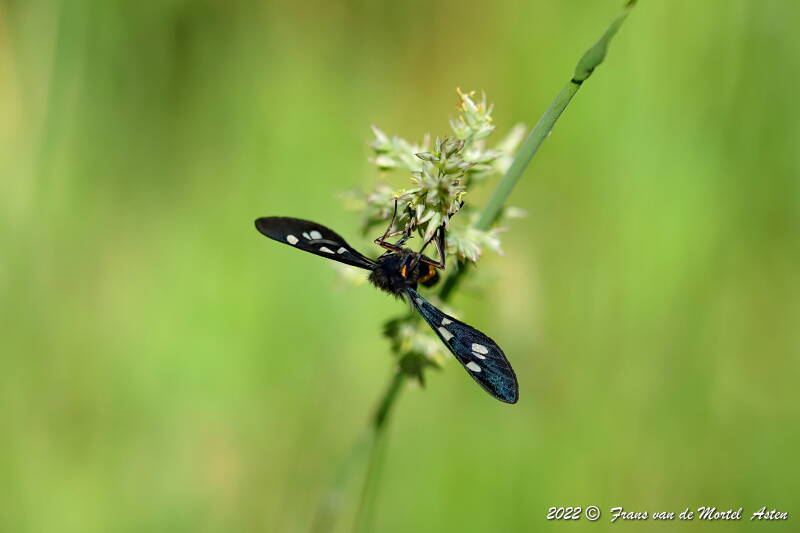 Nederweert, NL, 2022