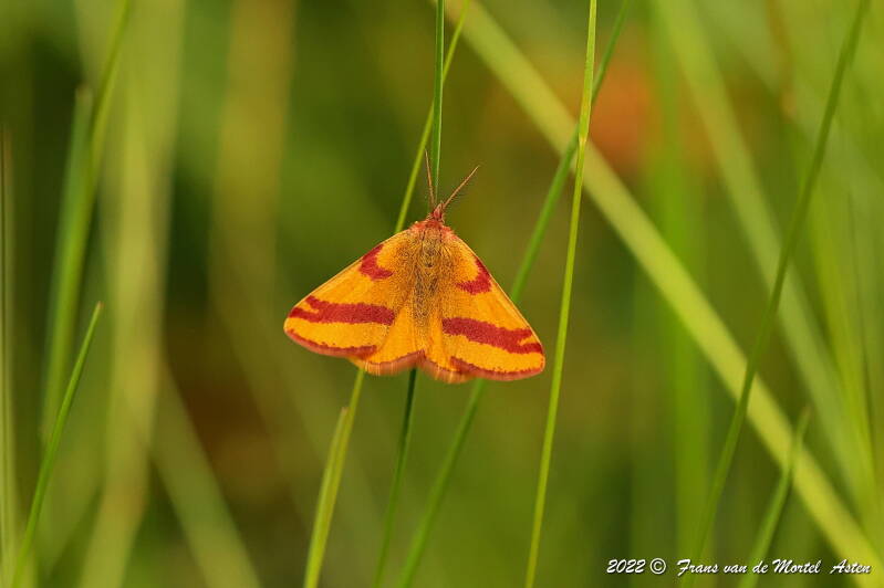 Grubbenvorst, NL, 2022