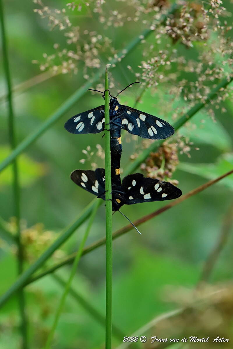 Nederweert, NL, 2022