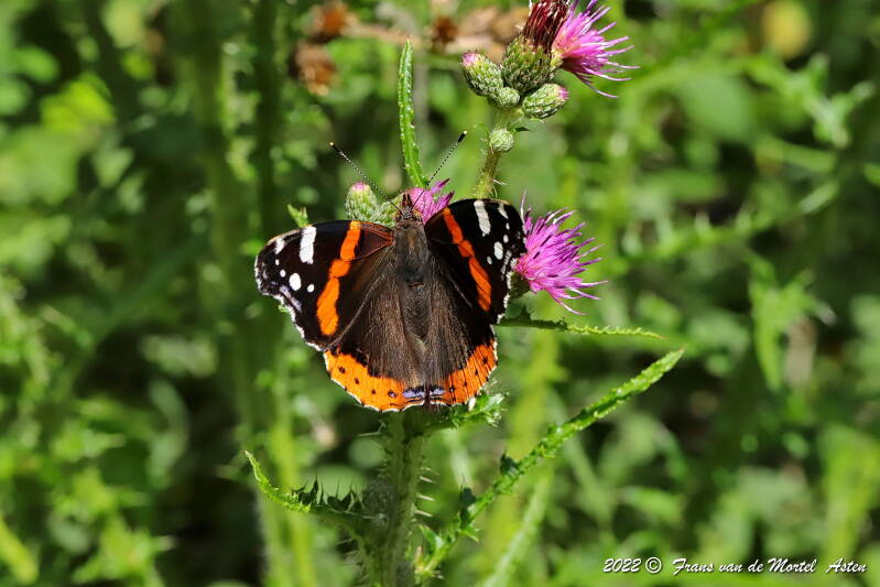 Nederweert, NL, 2022