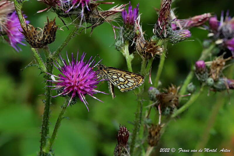 Nederweert, NL, 2022