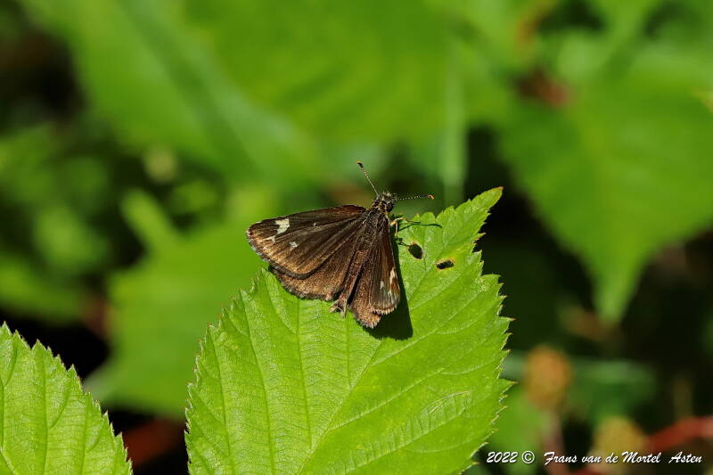 Nederweert, NL, 2022