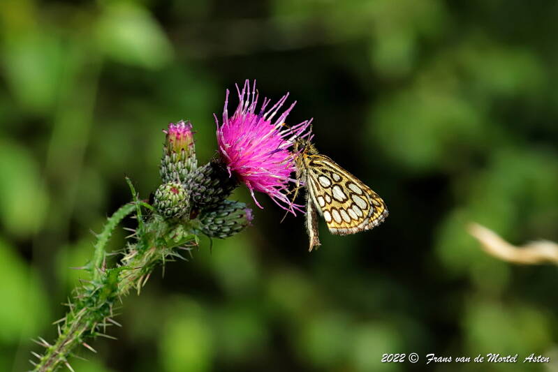 Nederweert, NL, 2022