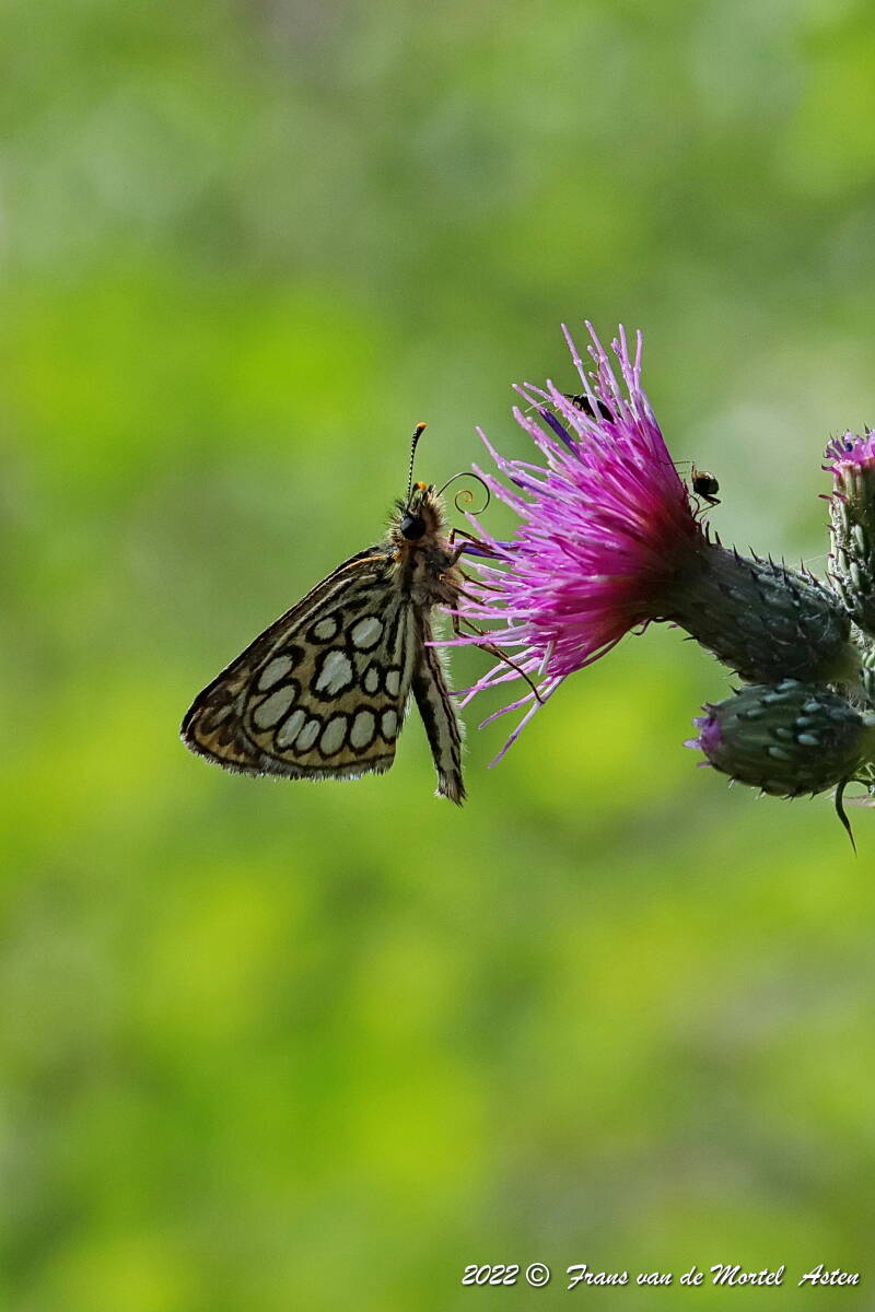 Nederweert, NL, 2022