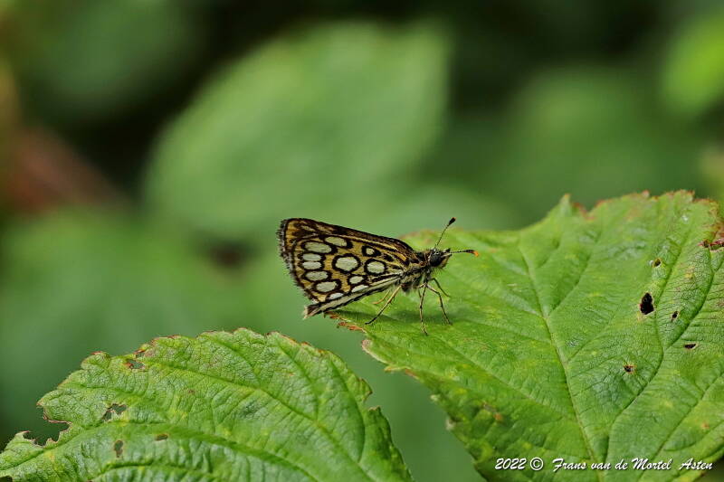 Nederweert, NL, 2022