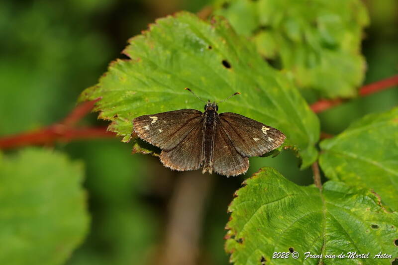 Nederweert, NL, 2022