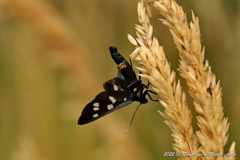 Nederweert, NL, 2022