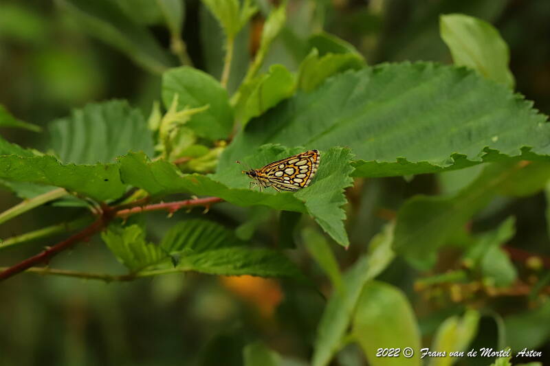Nederweert, NL, 2022