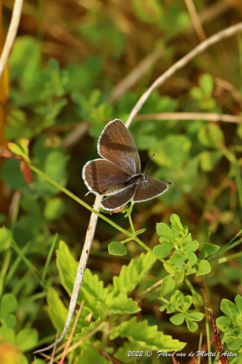 Nederweert, NL, 2022