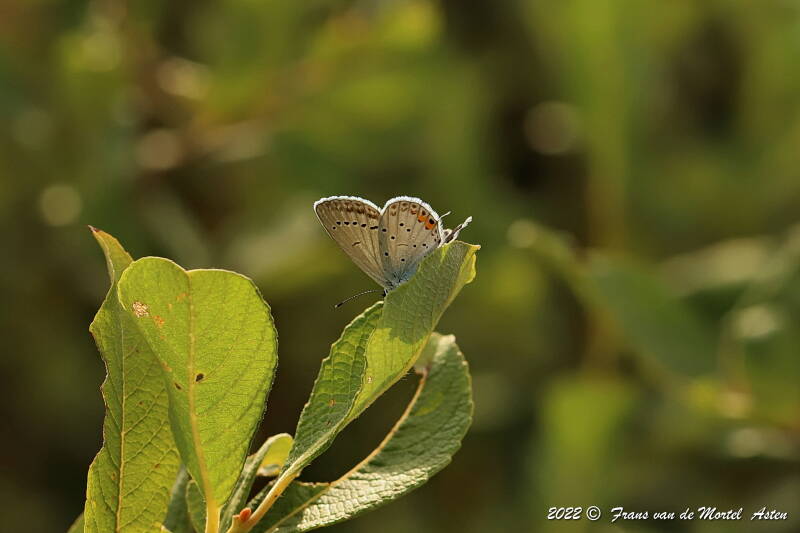 Nederweert, NL, 2022