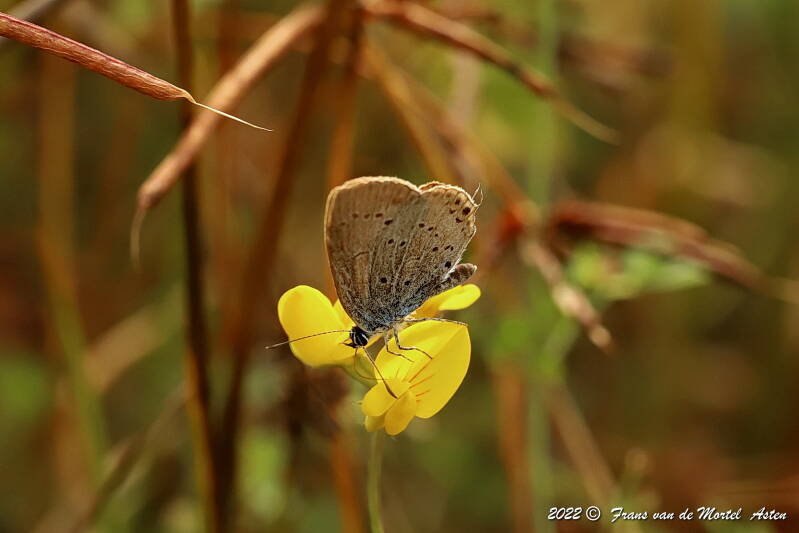 Nederweert, NL, 2022