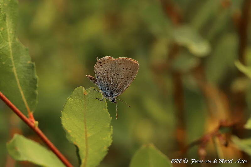 Nederweert, NL, 2022