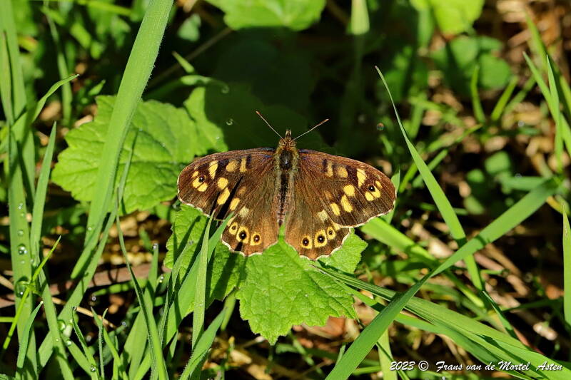 Nederweert, NL, 2023
