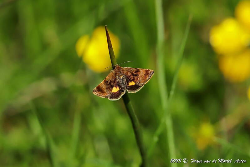 Nederweert, NL, 2023